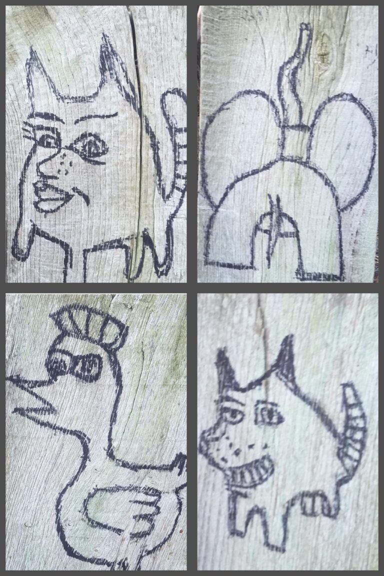 ANIMAL SAMPLE