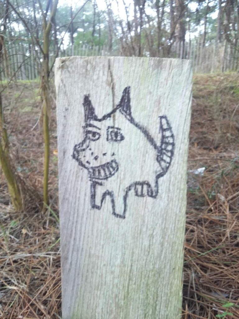 ANIMAL UN