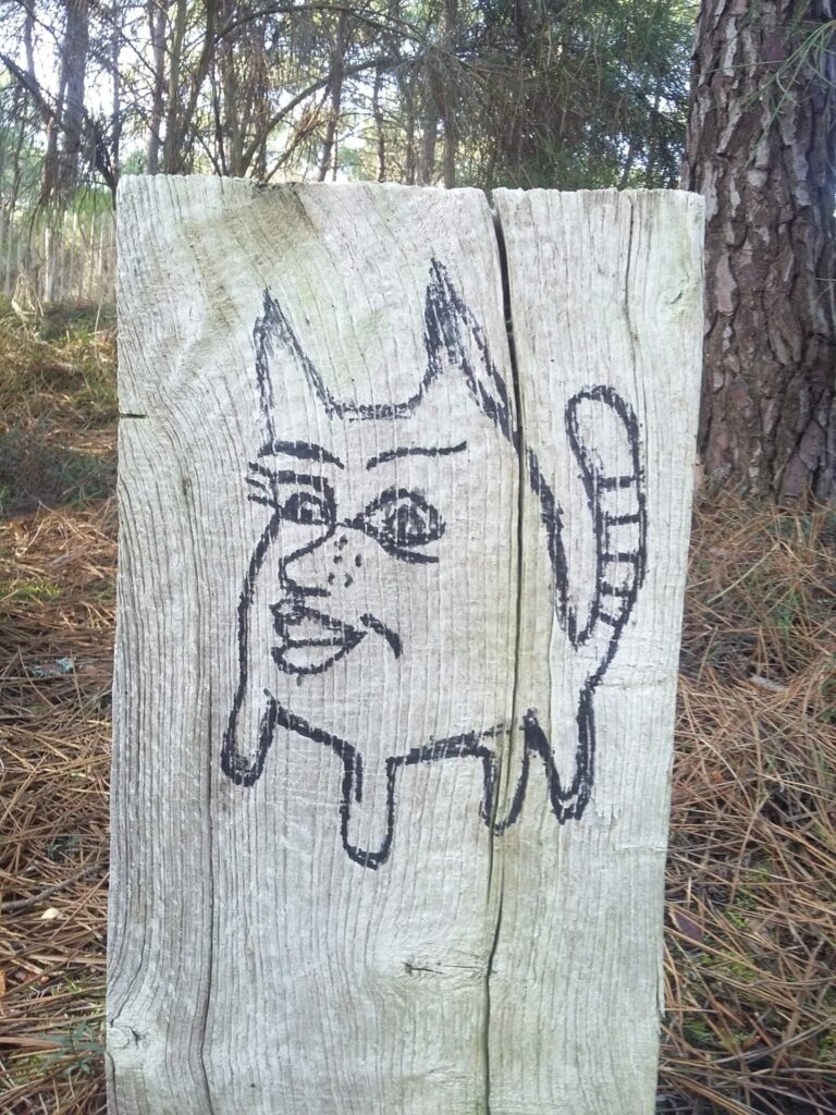 ANIMAL QUATRE